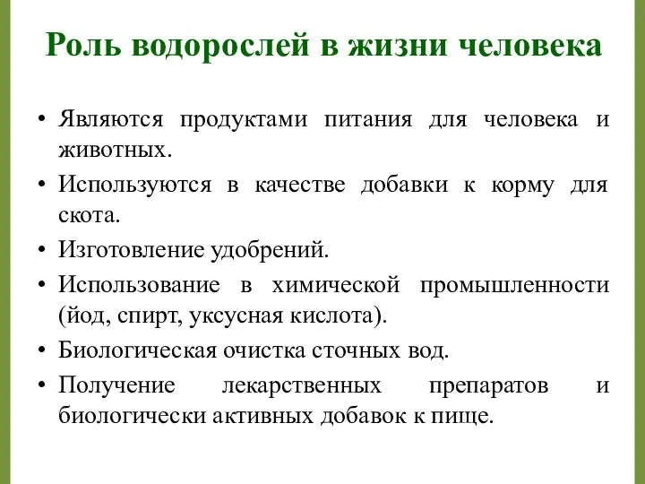 Роль водорослей в жизни человека Являются продуктами питания для человека