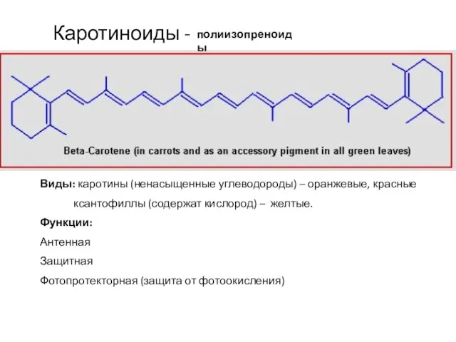 Каротиноиды - полиизопреноиды Виды: каротины (ненасыщенные углеводороды) – оранжевые, красные