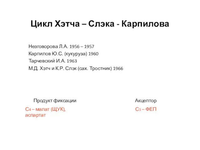 Цикл Хэтча – Слэка - Карпилова Незговорова Л.А. 1956 –