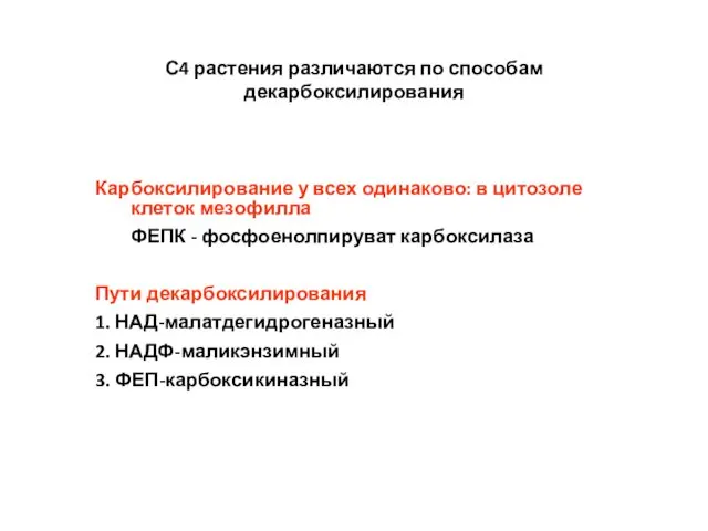 С4 растения различаются по способам декарбоксилирования Карбоксилирование у всех одинаково: