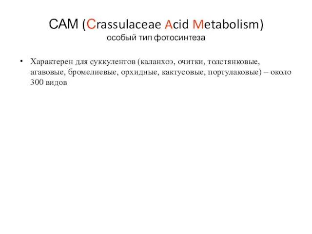 САМ (Сrassulaceae Acid Metabolism) особый тип фотосинтеза Характерен для суккулентов