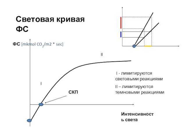 Световая кривая ФС Интенсивность света II I СКП I -