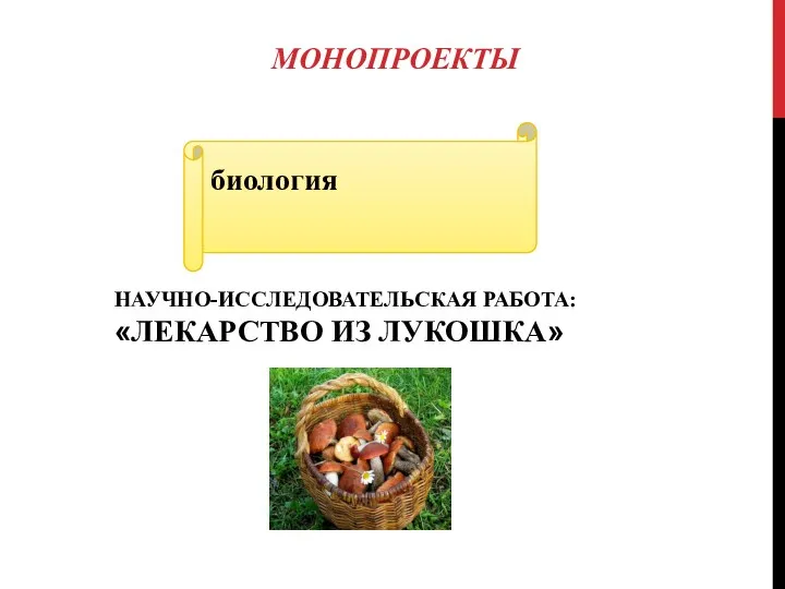 МОНОПРОЕКТЫ НАУЧНО-ИССЛЕДОВАТЕЛЬСКАЯ РАБОТА: «ЛЕКАРСТВО ИЗ ЛУКОШКА» биология