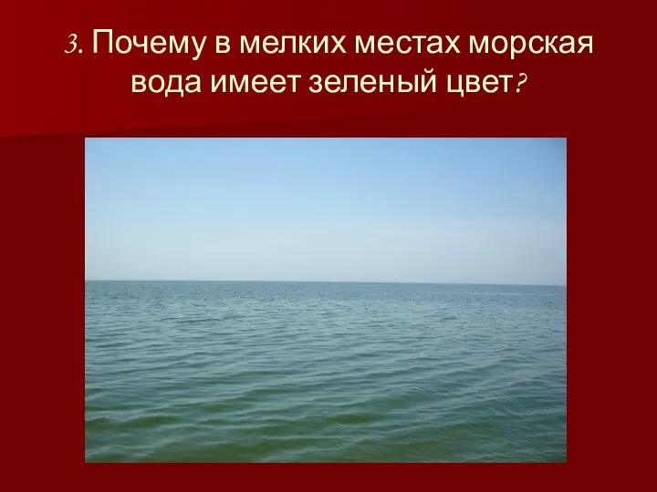 3. Почему в мелких местах морская вода имеет зеленый цвет?