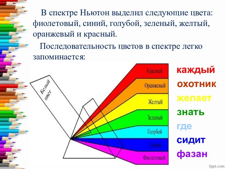 В спектре Ньютон выделил следующие цвета: фиолетовый, синий, голубой, зеленый,