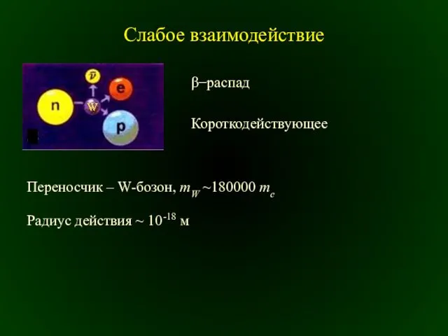 Слабое взаимодействие β−распад Короткодействующее Переносчик – W-бозон, mW ~180000 me Радиус действия ~ 10-18 м