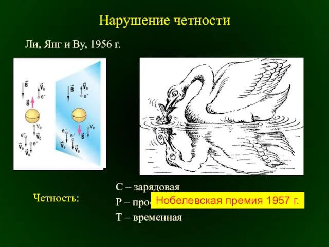 Нарушение четности Ли, Янг и Ву, 1956 г. Р –