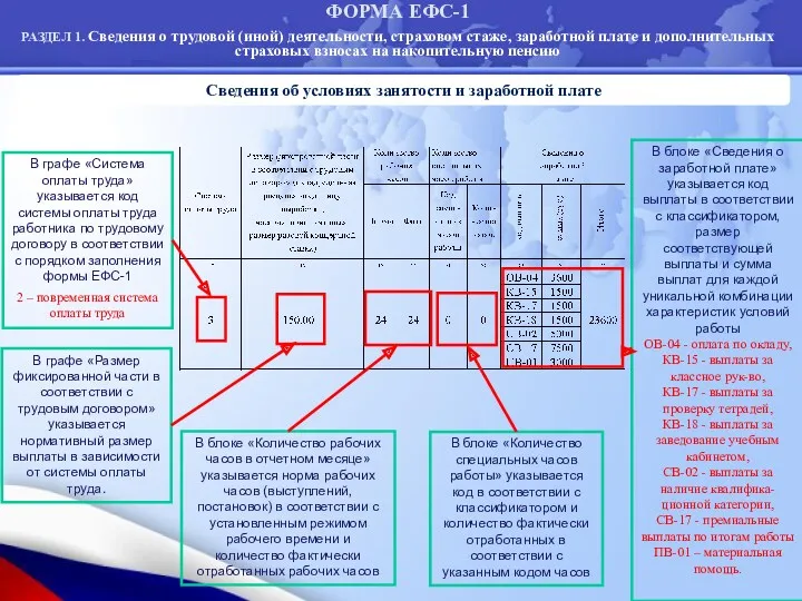 Сведения об условиях занятости и заработной плате В графе «Система