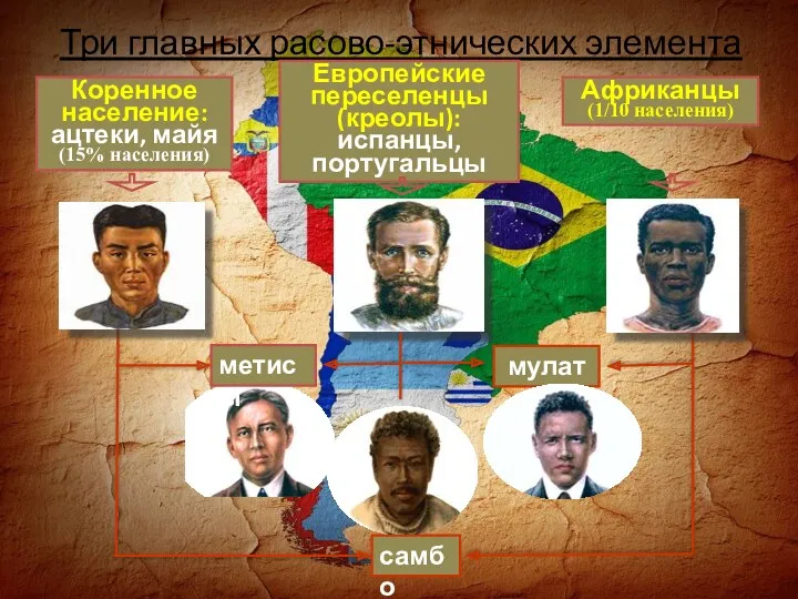 Три главных расово-этнических элемента Европейские переселенцы (креолы): испанцы, португальцы метисы