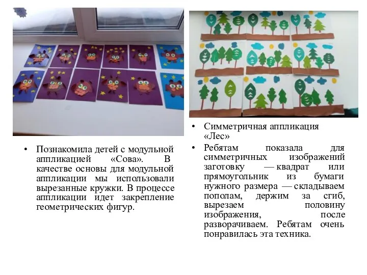 Познакомила детей с модульной аппликацией «Сова». В качестве основы для