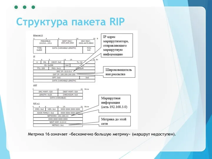 Структура пакета RIP Метрика 16 означает «бесконечно большую метрику» (маршрут недоступен).