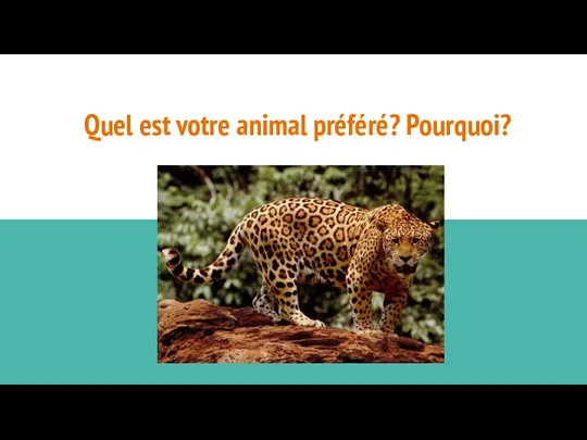 Quel est votre animal préféré? Pourquoi?