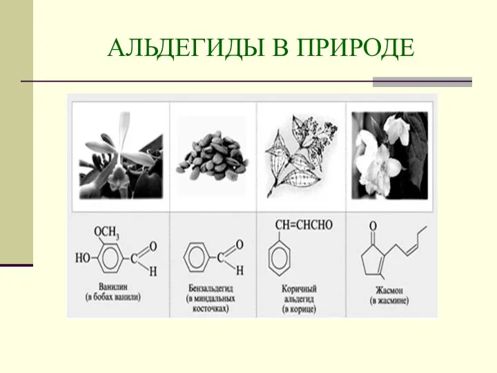 АЛЬДЕГИДЫ В ПРИРОДЕ