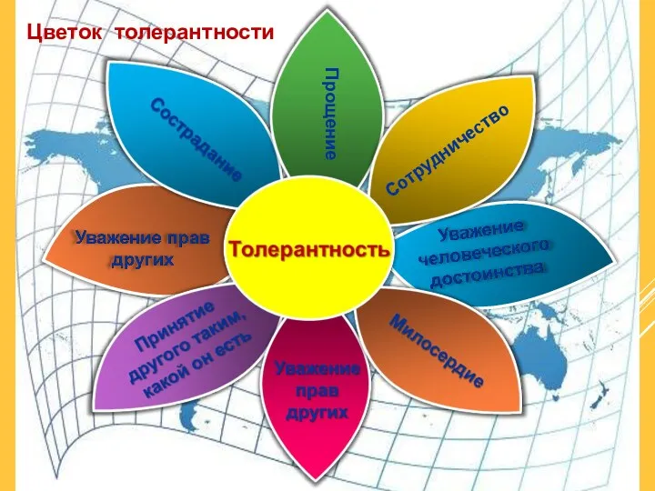 Сотрудничество Прощение Цветок толерантности