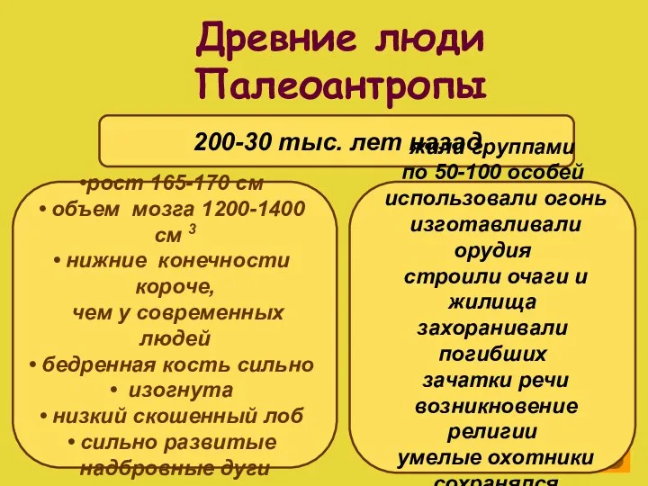 Древние люди Палеоантропы 200-30 тыс. лет назад рост 165-170 см