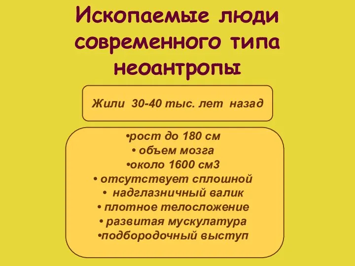 Ископаемые люди современного типа неоантропы Жили 30-40 тыс. лет назад