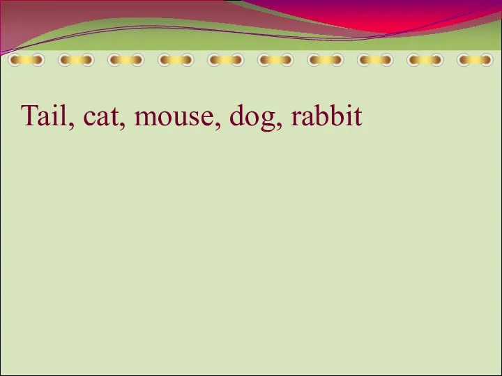 Tail, cat, mouse, dog, rabbit