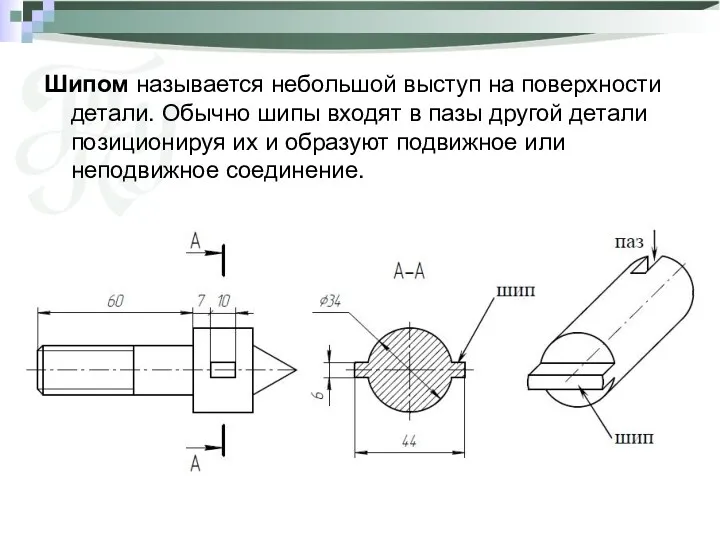 Шипом называется небольшой выступ на поверхности детали. Обычно шипы входят