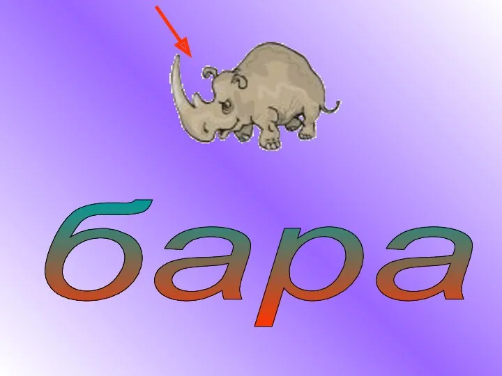 бара