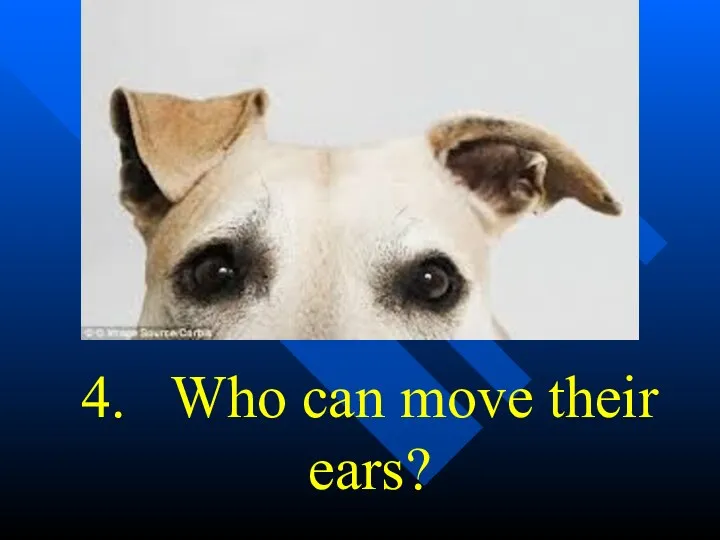 4. Who can move their ears?