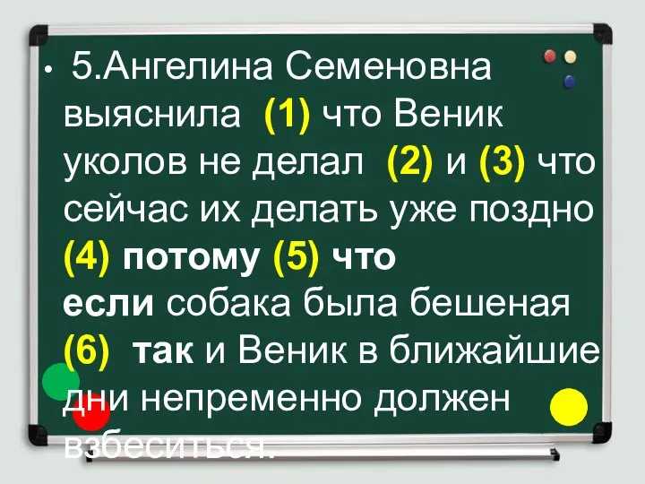 5.Ангелина Семеновна выяснила (1) что Веник уколов не делал (2)