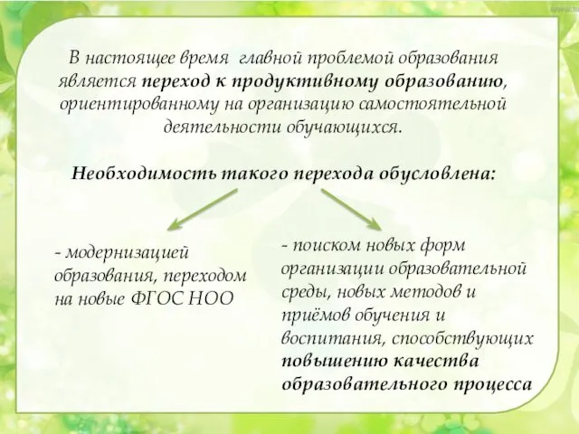 В настоящее время главной проблемой образования является переход к продуктивному образованию, ориентированному на