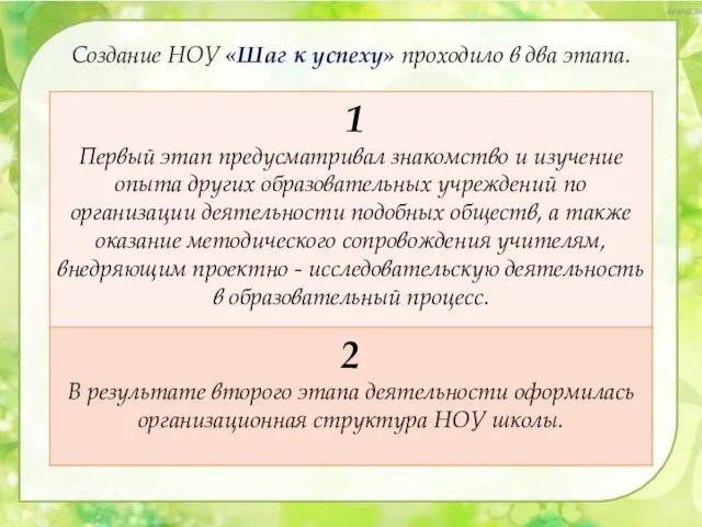 Создание НОУ «Шаг к успеху» проходило в два этапа.