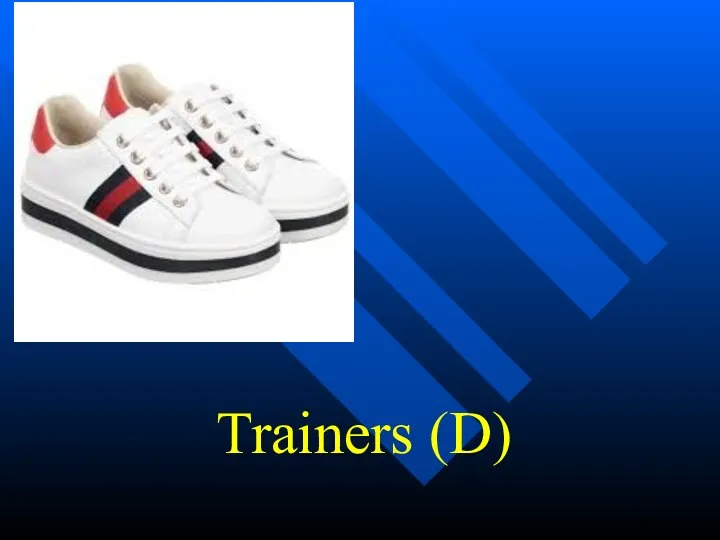 Trainers (D)