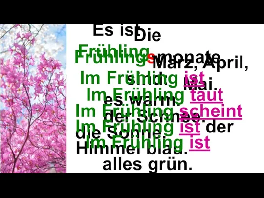 Es ist Frühling. Die Frühlingsmonate sind: März, April, Mai. Im