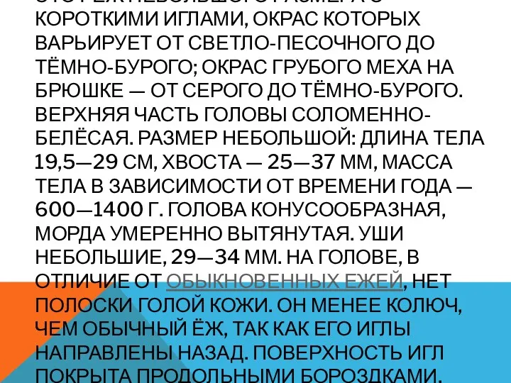 ЭТОТ ЁЖ НЕБОЛЬШОГО РАЗМЕРА С КОРОТКИМИ ИГЛАМИ, ОКРАС КОТОРЫХ ВАРЬИРУЕТ