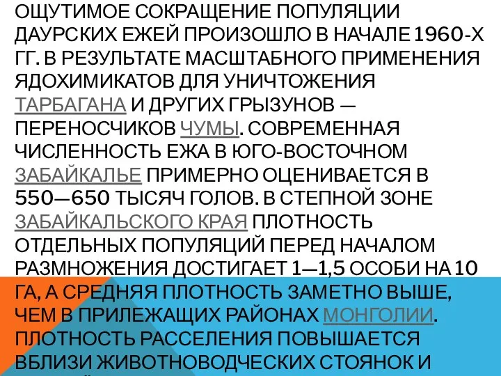 ОЩУТИМОЕ СОКРАЩЕНИЕ ПОПУЛЯЦИИ ДАУРСКИХ ЕЖЕЙ ПРОИЗОШЛО В НАЧАЛЕ 1960-Х ГГ.