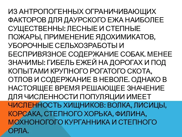 ИЗ АНТРОПОГЕННЫХ ОГРАНИЧИВАЮЩИХ ФАКТОРОВ ДЛЯ ДАУРСКОГО ЕЖА НАИБОЛЕЕ СУЩЕСТВЕННЫ: ЛЕСНЫЕ