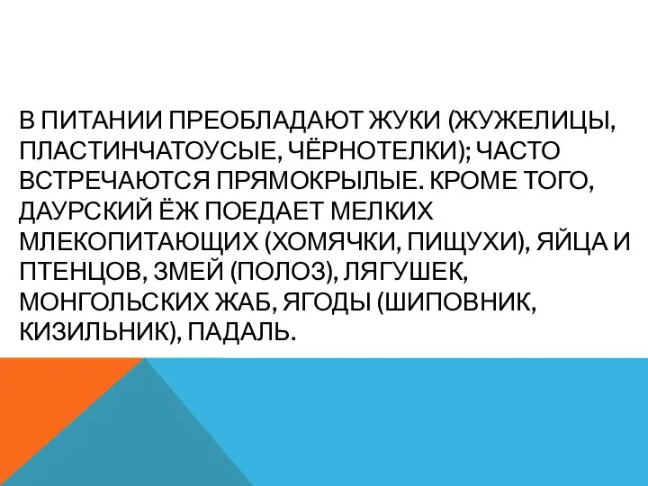 В ПИТАНИИ ПРЕОБЛАДАЮТ ЖУКИ (ЖУЖЕЛИЦЫ, ПЛАСТИНЧАТОУСЫЕ, ЧЁРНОТЕЛКИ); ЧАСТО ВСТРЕЧАЮТСЯ ПРЯМОКРЫЛЫЕ.