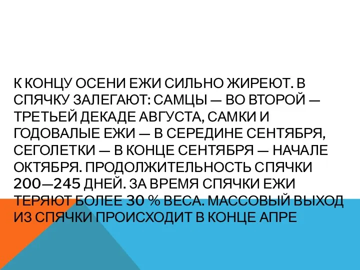 К КОНЦУ ОСЕНИ ЕЖИ СИЛЬНО ЖИРЕЮТ. В СПЯЧКУ ЗАЛЕГАЮТ: САМЦЫ