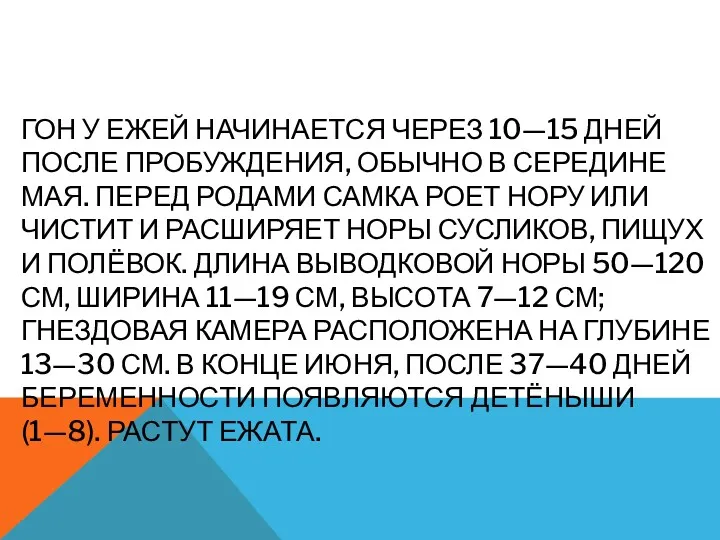 ГОН У ЕЖЕЙ НАЧИНАЕТСЯ ЧЕРЕЗ 10—15 ДНЕЙ ПОСЛЕ ПРОБУЖДЕНИЯ, ОБЫЧНО