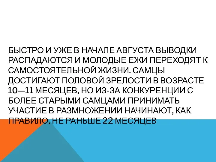 БЫСТРО И УЖЕ В НАЧАЛЕ АВГУСТА ВЫВОДКИ РАСПАДАЮТСЯ И МОЛОДЫЕ