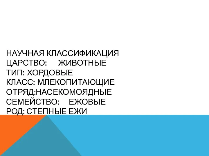 НАУЧНАЯ КЛАССИФИКАЦИЯ ЦАРСТВО: ЖИВОТНЫЕ ТИП: ХОРДОВЫЕ КЛАСС: МЛЕКОПИТАЮЩИЕ ОТРЯД:НАСЕКОМОЯДНЫЕ СЕМЕЙСТВО: ЕЖОВЫЕ РОД: СТЕПНЫЕ ЕЖИ