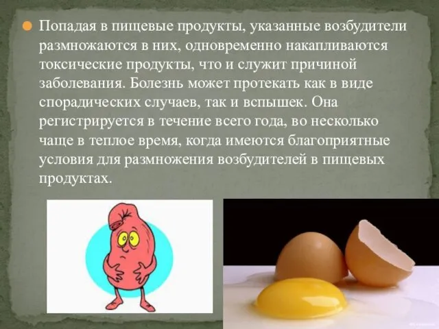 Попадая в пищевые продукты, указанные возбудители размножаются в них, одновременно