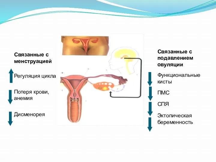 Связанные с менструацией Регуляция цикла Потеря крови, анемия Дисменорея Связанные