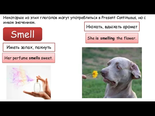 Некоторые из этих глаголов могут употребляться в Present Continuous, но