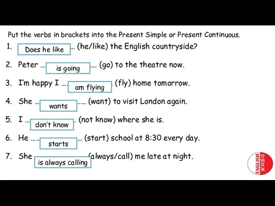 Put the verbs in brackets into the Present Simple or