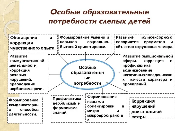 Особые образовательные потребности слепых детей