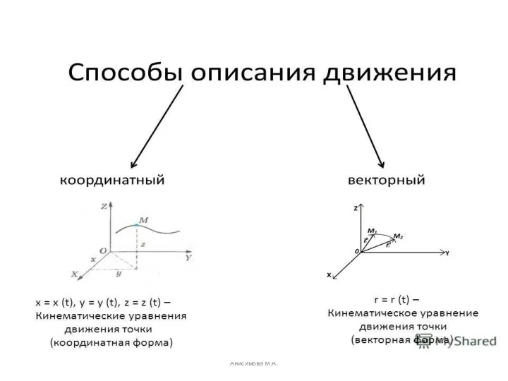 Анисимова М.А.