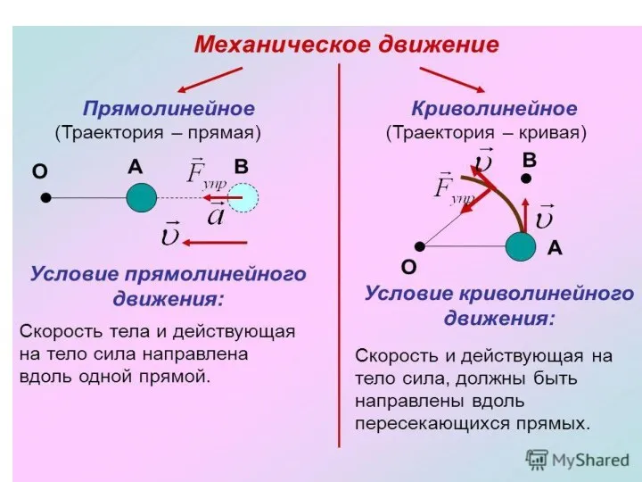 Анисимова М.А.