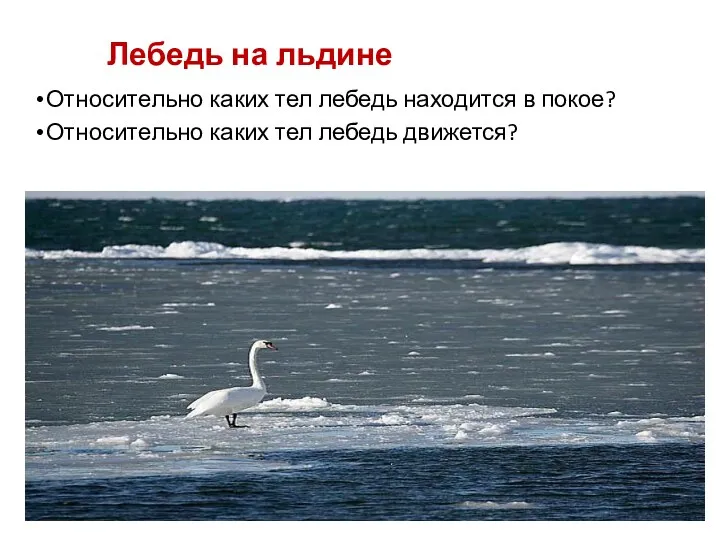 Лебедь на льдине Относительно каких тел лебедь находится в покое? Относительно каких тел лебедь движется?
