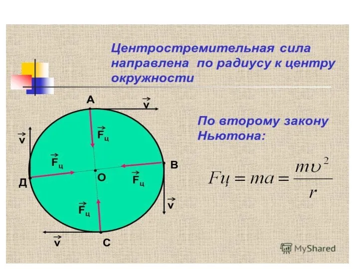 Анисимова М.А.