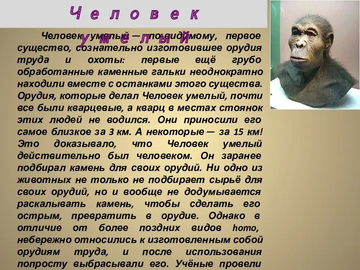 Человек умелый — по-видимому, первое существо, сознательно изготовившее орудия труда и охоты: первые