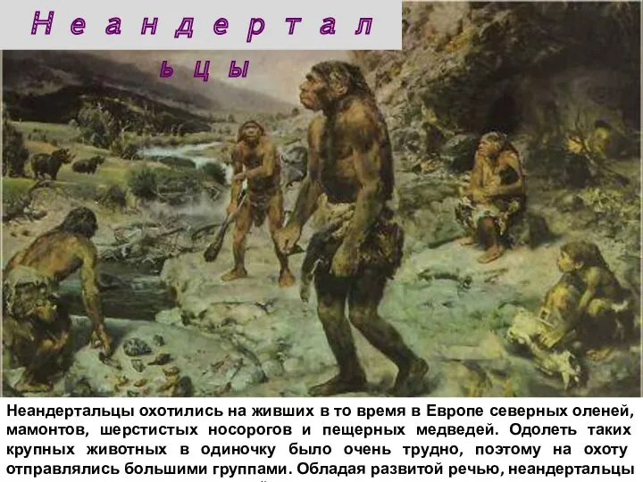 Неандертальцы охотились на живших в то время в Европе северных оленей, мамонтов, шерстистых