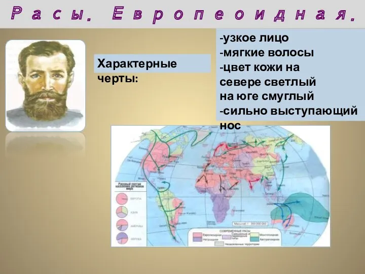 Характерные черты: -узкое лицо -мягкие волосы -цвет кожи на севере