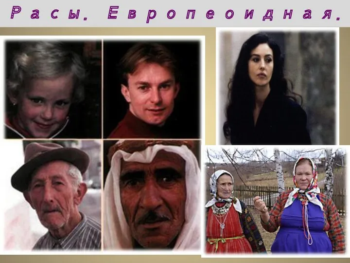 Расы. Европеоидная.